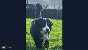 'Very strong reason' needed for Rotunda to move from current site, says Minister