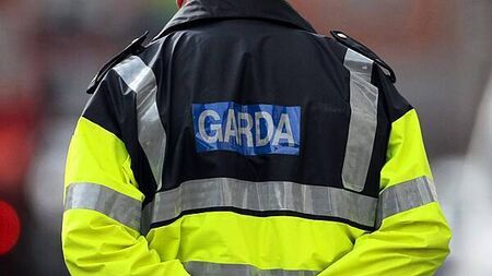 Gardaí express 'concern' at work of paedophile hunter groups