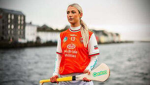 Jan Paul van Hecke’s late header for Brighton denies Wolves a first win