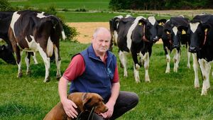 Farming: ESRI research 'highlights problems that have been obvious for decades'