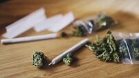 Judge says cannabis users are supporting 'gangland murderers'