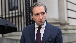 Provisional liquidator appointed to companies with small hotels in Cork