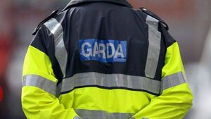 Man died while in custody in a Waterford Garda station