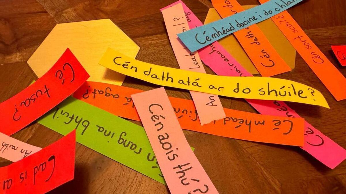 Waterford call on government to increase education of Irish language