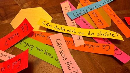 Waterford call on government to increase education of Irish language