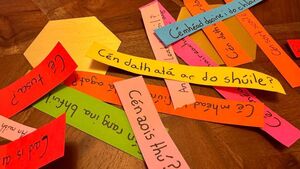 Waterford call on government to increase education of Irish language