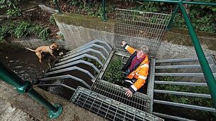 Second arrest in a day by police investigating disappearance of Lisa Dorrian