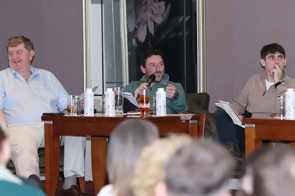 Shark Hanlon, Paddy Flood, and Darragh O'Keeffe during the preview night.