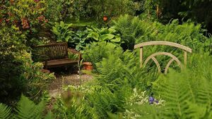 Green Fingers: Rumble in the Jungle