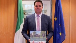 <p>Minister for Agriculture, Food and the Marine, Martin Heydon</p>