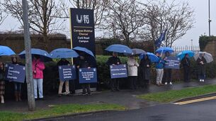 <p>Protestors outside SETU last week.</p>