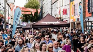 'In Waterford, we have fostered a culture of the council doing everything'