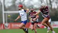 Déise camogie deliver dominant display on the road in Galway