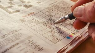 <p>Sudoku originated as an indoor Japanese brain teaser game 'SU DO KU'.</p>