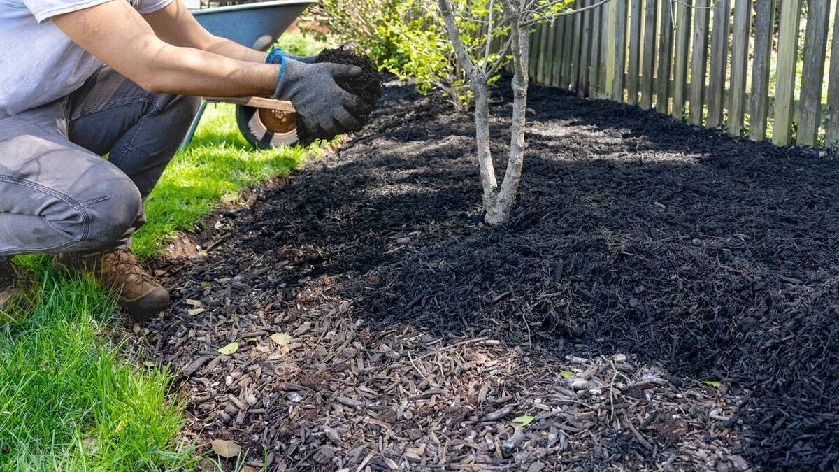 Green Fingers: Getting ready for the growing season