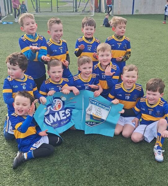 The Portlaw U7s were in action recently in a football blitz in Tramore