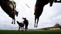 When is the Cheltenham Festival, where can you watch it and who will win it?