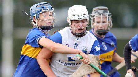 Déise go down fighting in Camogie semi-final defeat