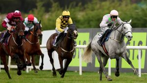 Cheltenham Festival - The greatest show on turf