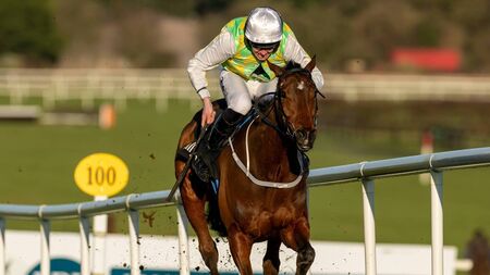 Queally relishing the opportunity with his stable stars
