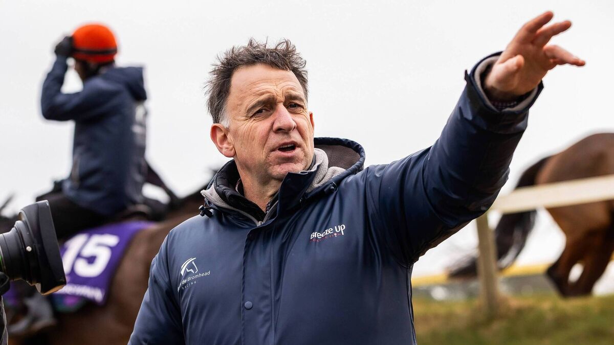 “We’ve a nice team of horses going over there this year” – de Bromhead