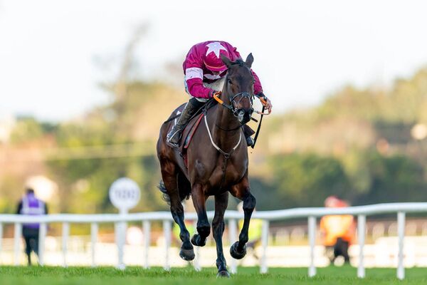 Jack Kennedy wins The Timeless Sash Windows Irish Champion Hurdle with Brighterdaysahead at the Dublin Racing Festival. Can she win the Champion Hurdle? Photo: INPHO/Morgan Treacy