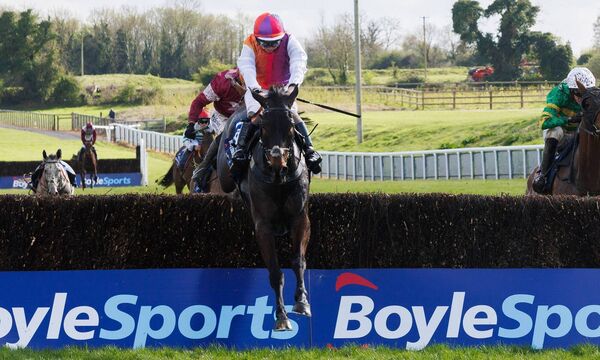 Jordan Norris think that the Rebecca Curtis trained Haiti Couleurs, who won the Irish Grand National for Sean Bowen at Fairyhouse in 2025 can land the Gold Cup. Photo: INPHO /Tom Maher