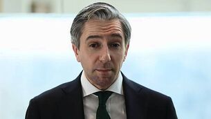 Court of Appeal urged to overturn basic needs for asylum seekers decision