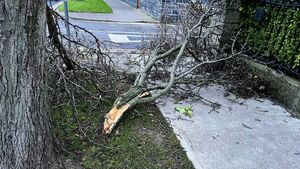 Weather warning issued for Waterford