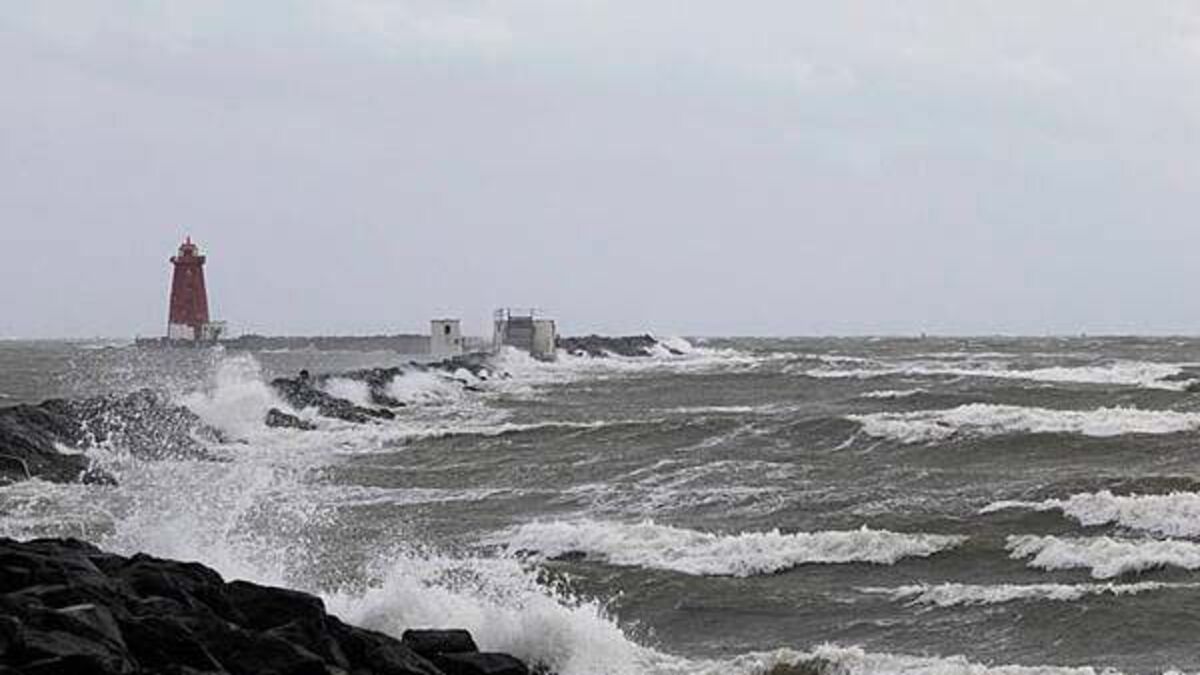 Yellow wind warning issued for the entire country