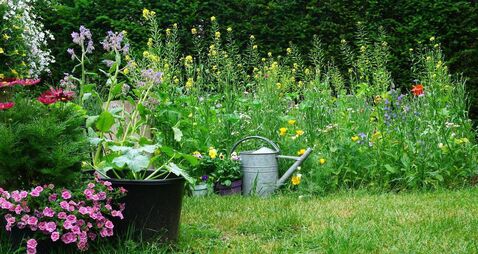 Green Fingers: The avalanche of flowers is coming