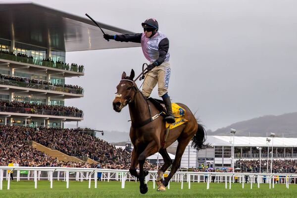 Darragh O’Keeffe celebrates winning the Ryanair Chase on Heart Wood Photo: ©INPHO/Morgan Treacy