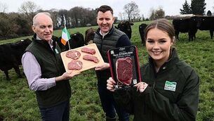 Man tried to suffocate partner’s mother with pillow in nursing home while shouting 'die'