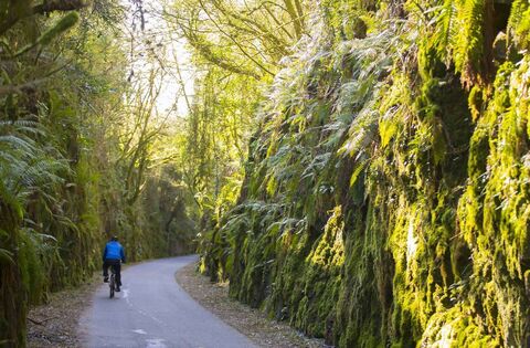 Farming: IFA Meet TII on Greenways