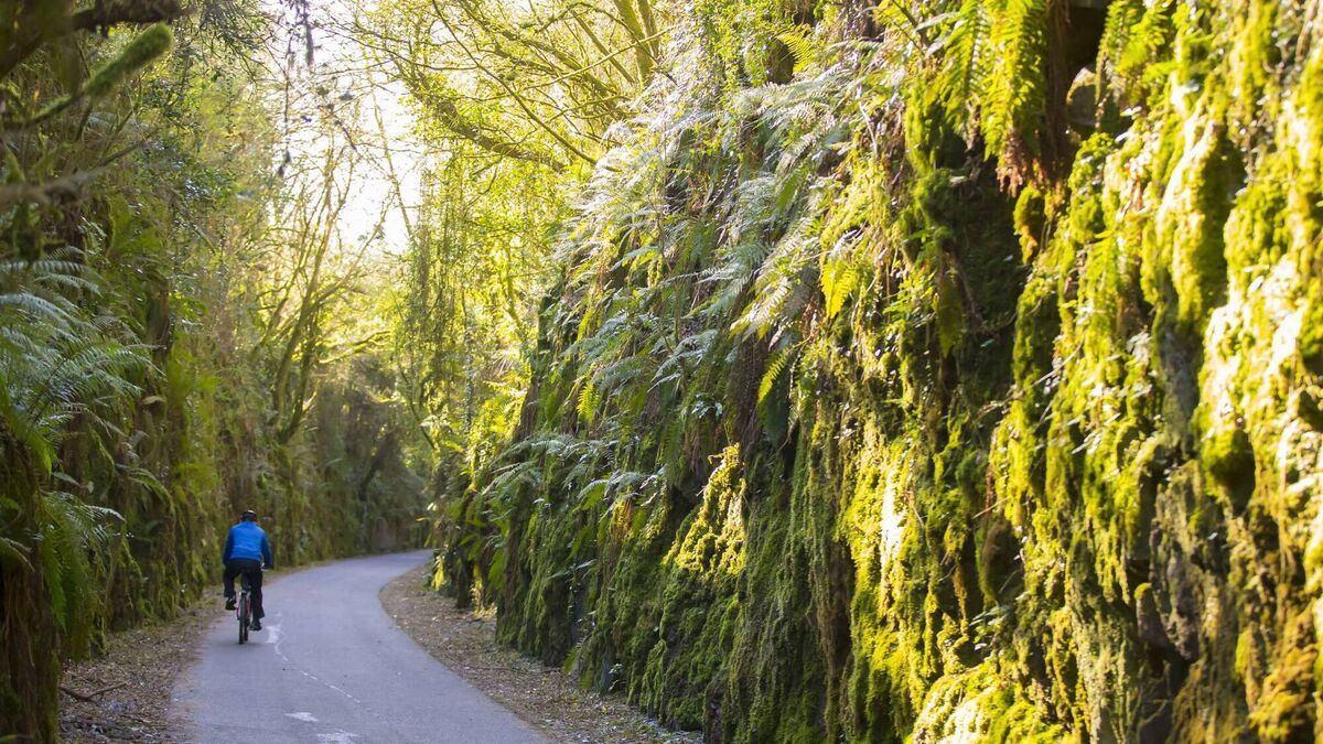 Farming: IFA Meet TII on Greenways