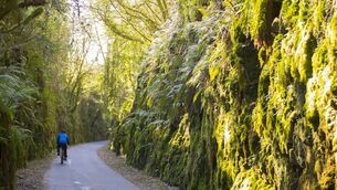 <p>The IFA is engaging with TII and local authority representatives to negotiate a Code of Practice for Greenways, which would avoid the use of CPOs.</p> <p>The IFA is engaging with TII and local authority representatives to negotiate a Code of Practice for Greenways, which would avoid the use of CPOs.</p>