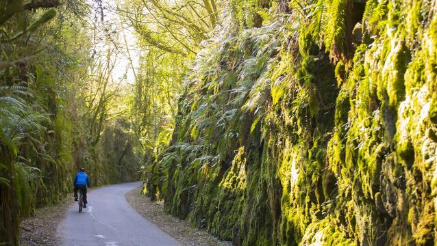 Farming: IFA Meet TII on Greenways 