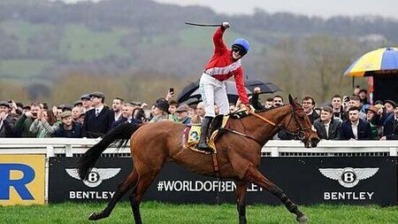 ‘Incredible’ Envoi Allen dies after collapsing following Cheltenham Gold Cup