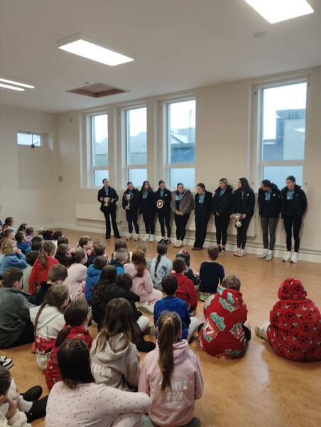 Ríona Shankey and her Scoil Mhuire teammates visited Portlaw NS recently to showcase their silverware. 