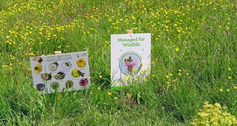 Waterford City and County Council do not have a biodiversity officer