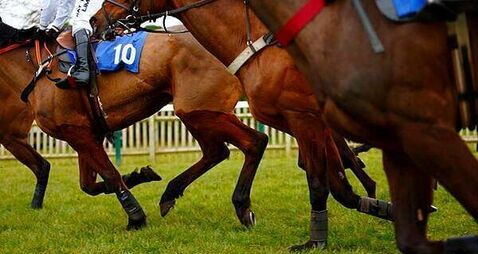 Cork racing tipster seeks injunction over allegedly defamatory online publicaitons