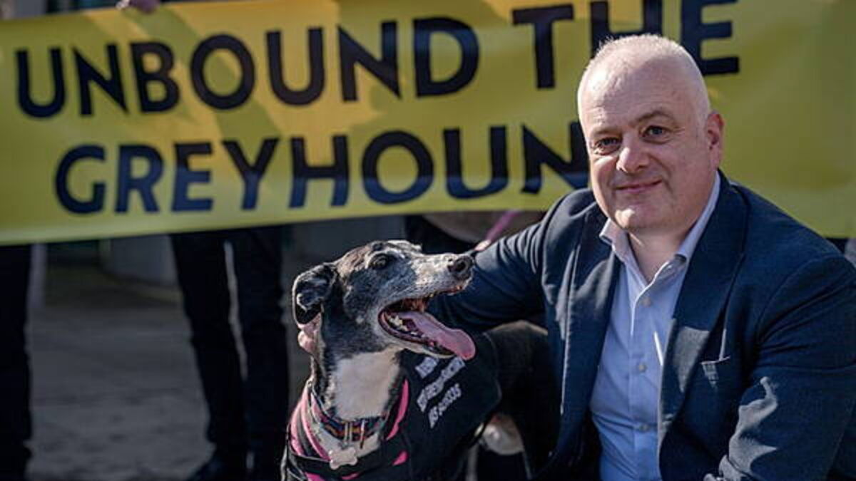 Scotland follows Wales in banning greyhound racing