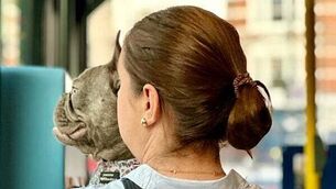 Woman sexually assaulted at Cork spa after masseur asked if she would like a surprise, court hears