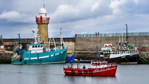 Local Notes: Tidy Towns, art camp and mass times this week 