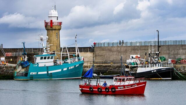 Local Notes: Tidy Towns, art camp and mass times this week 