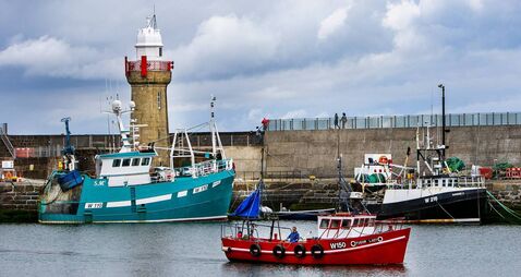 Local Notes: Tidy Towns, art camp and mass times this week 