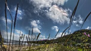 <p>Passage East. Picture by Joe Evans</p>