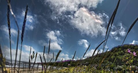 Local Notes: A Papal honour and a hurling match for charity