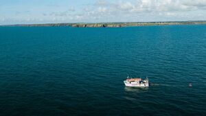 EirGrid to commence survey process for Waterford offshore wind farm