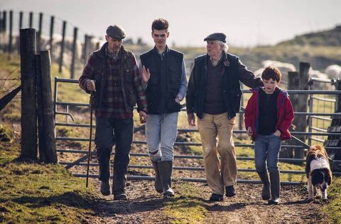 Call for tender for social farming model projects